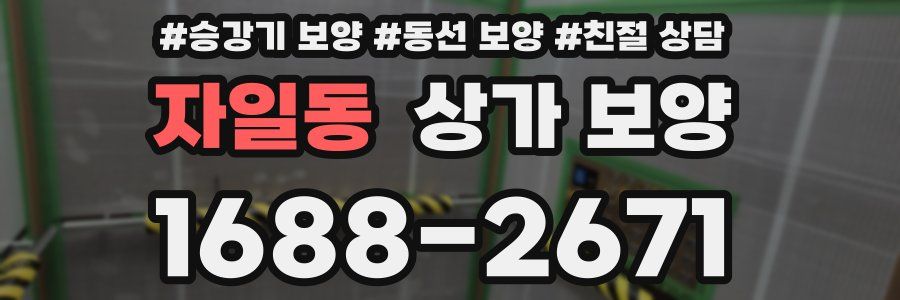 자일동 상가 보양