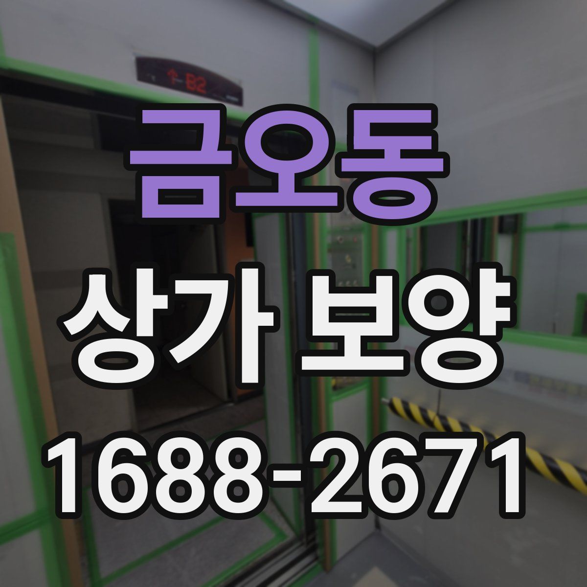 금오동 상가 보양