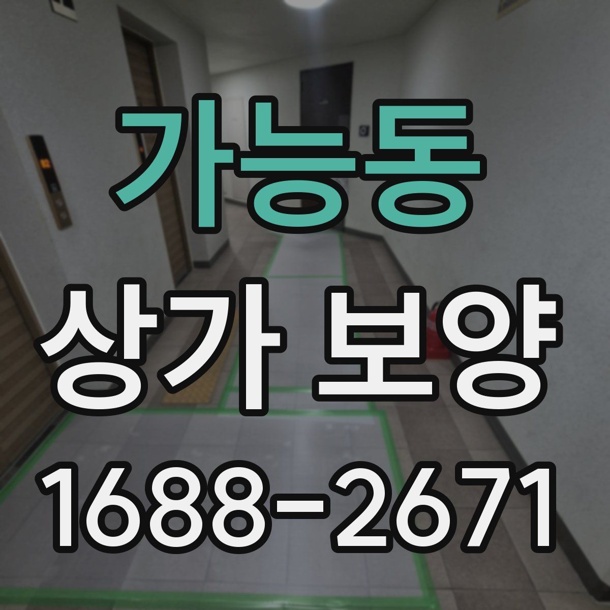 가능동 상가 보양