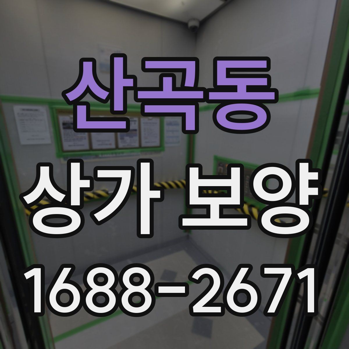 산곡동 상가 보양 시공 사례로 보는 보호 범위