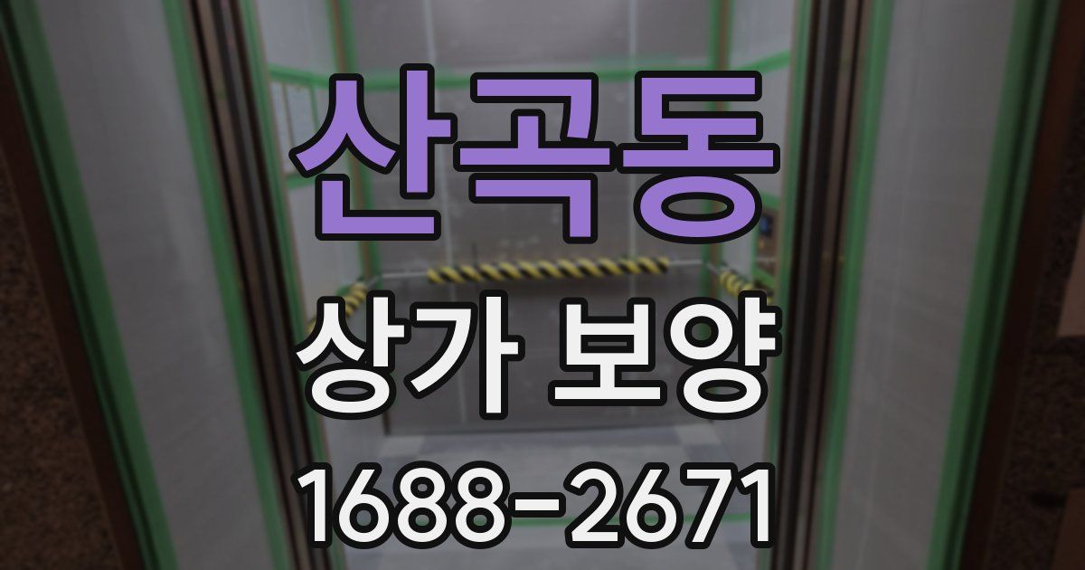 산곡동 상가 보양