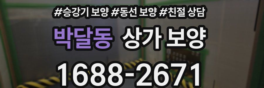 박달동 상가 보양