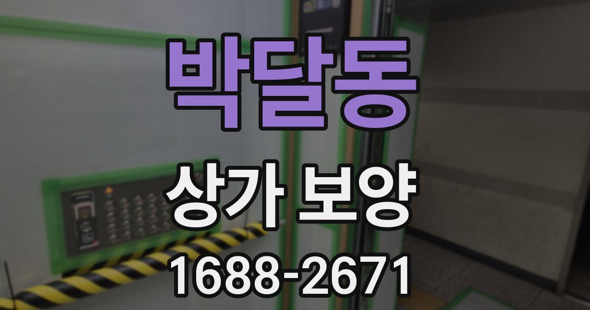 박달동 상가 보양