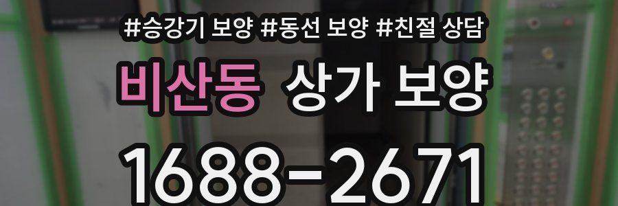 비산동 상가 보양