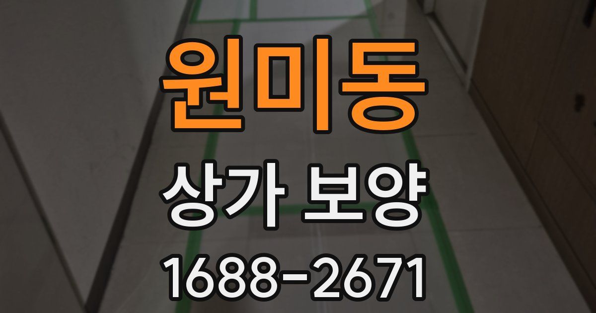 원미동 상가 보양