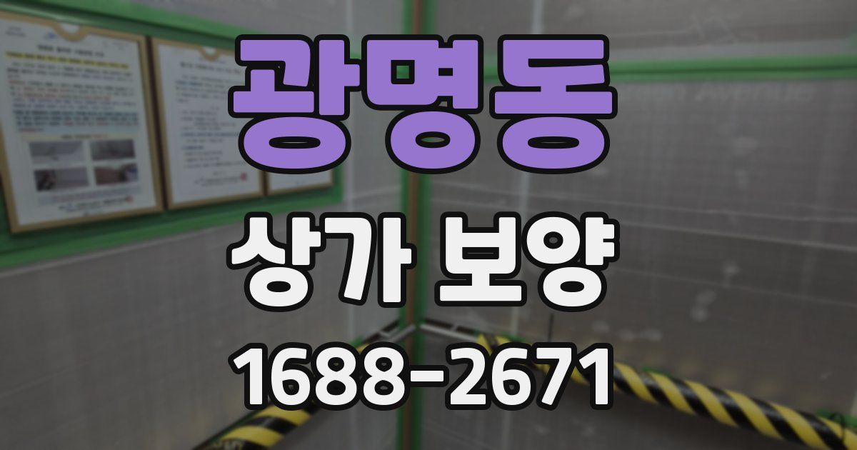 광명동 상가 보양
