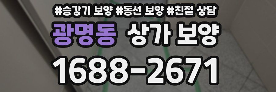 광명동 상가 보양