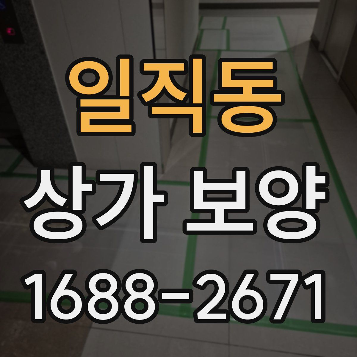 일직동 상가 보양