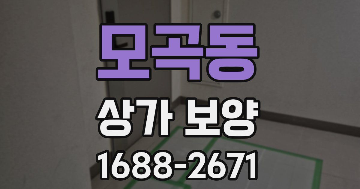 모곡동 상가 보양
