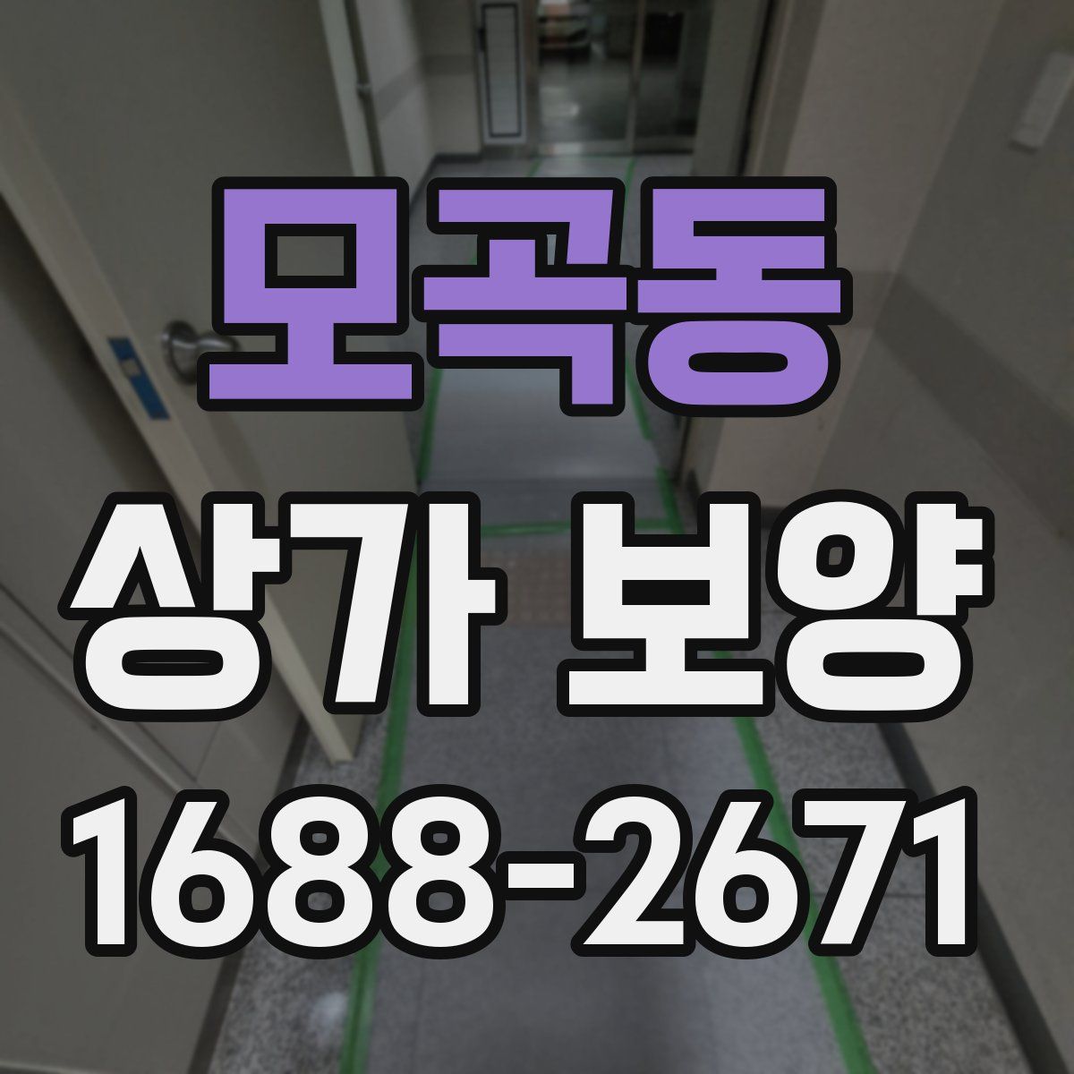 모곡동 상가 보양