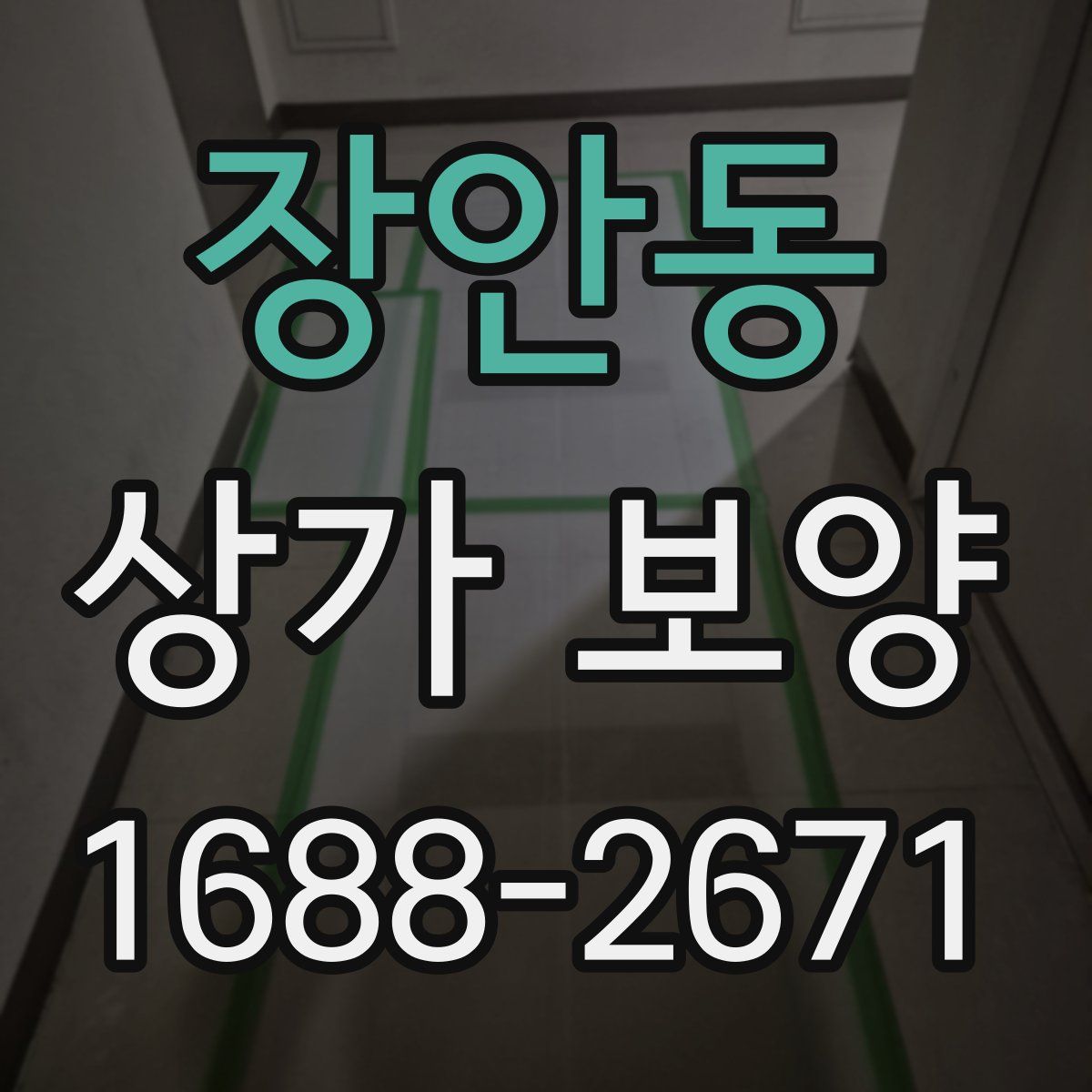 장안동 상가 보양