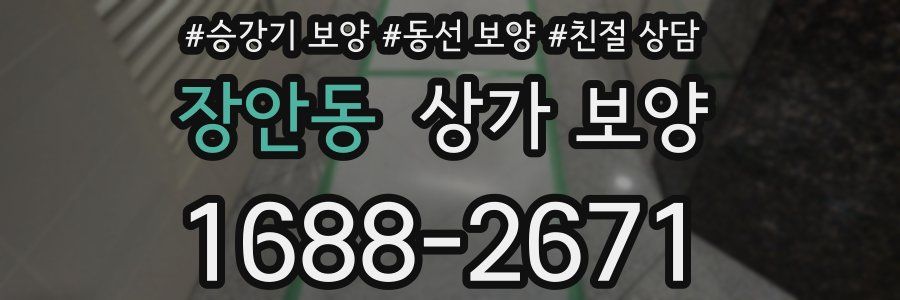 장안동 상가 보양