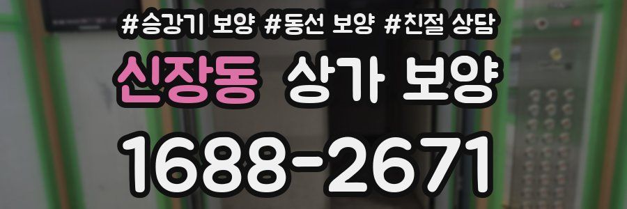 신장동 상가 보양