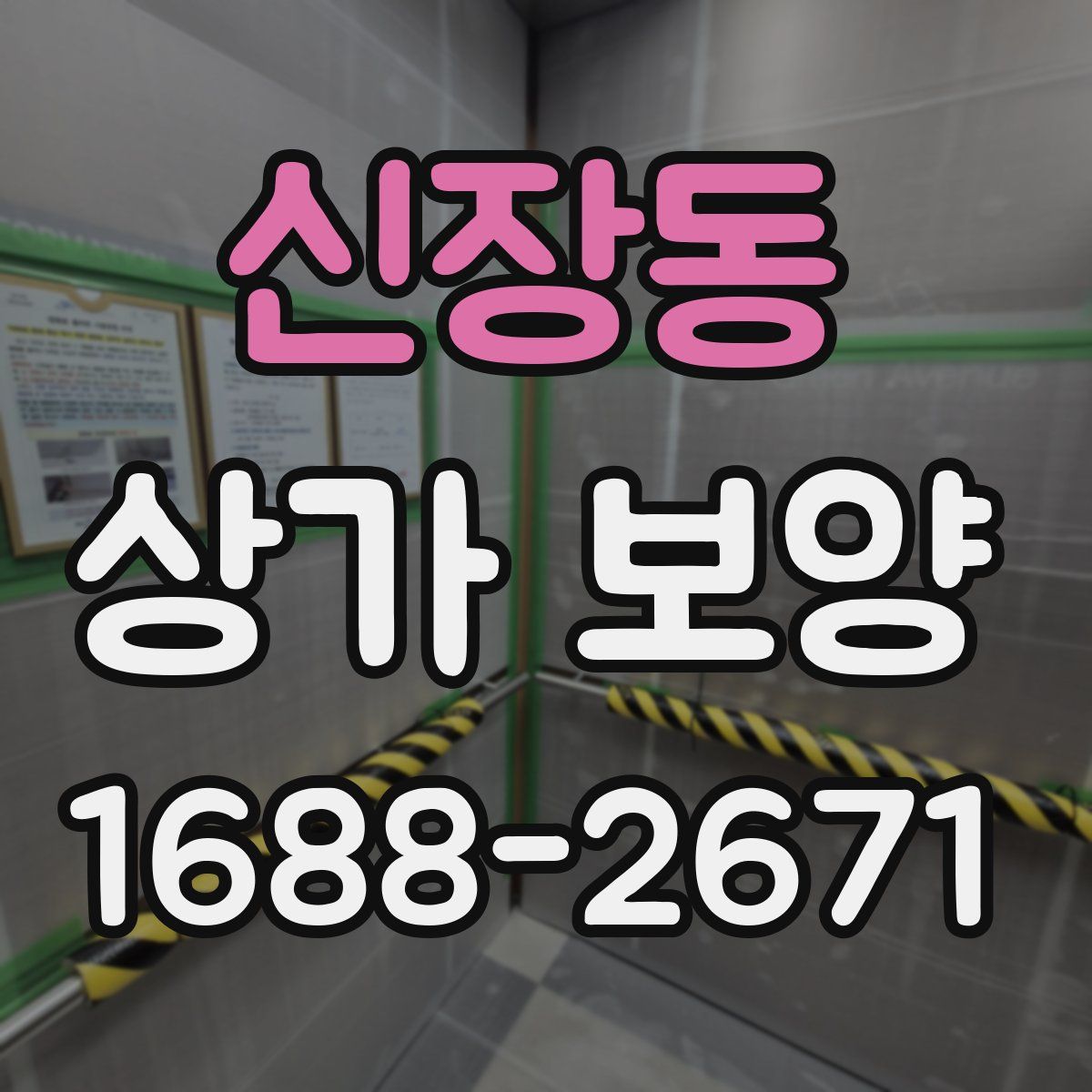 신장동 상가 보양