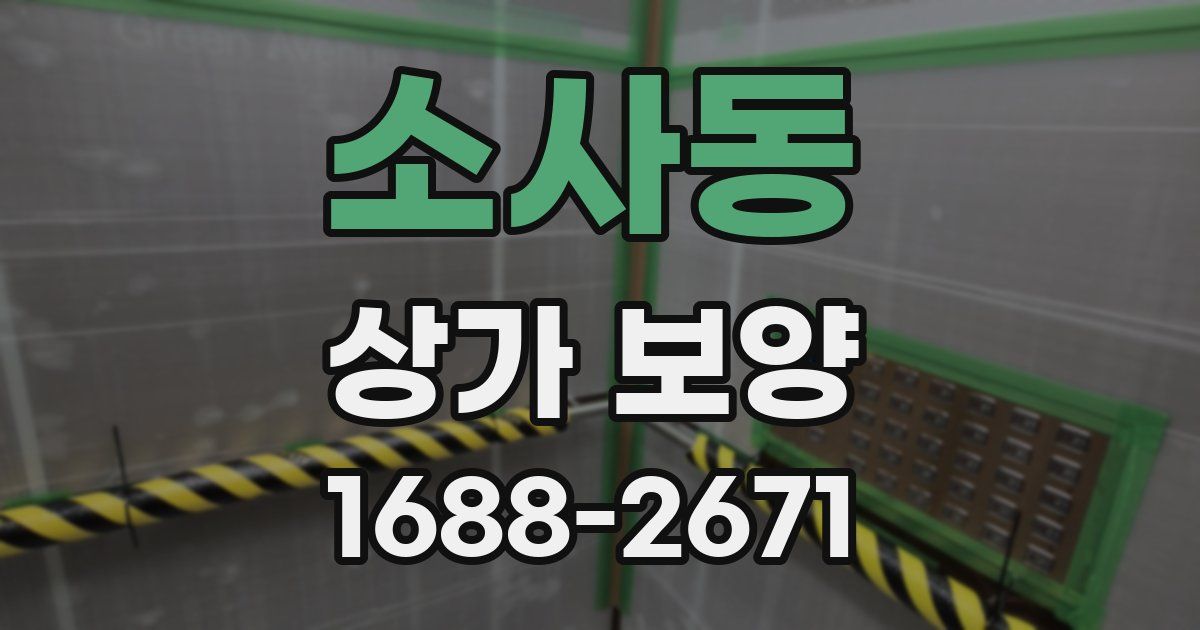 소사동 상가 보양