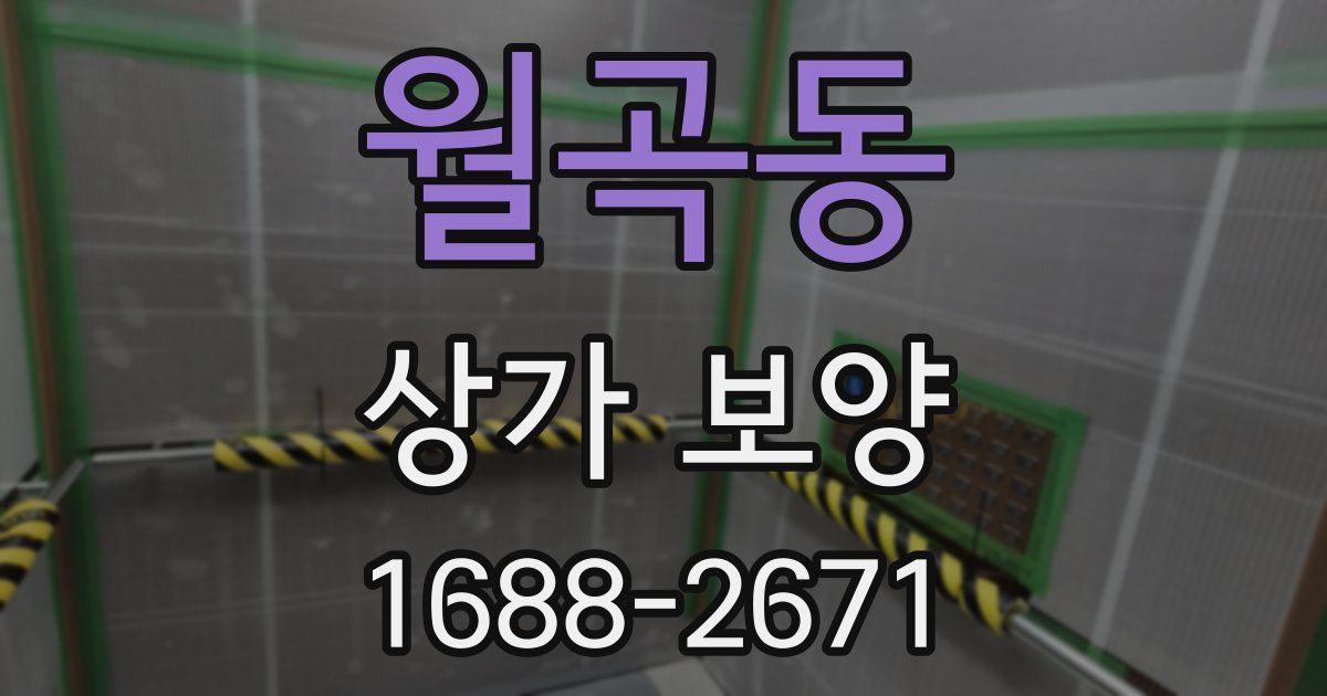 월곡동 상가 보양