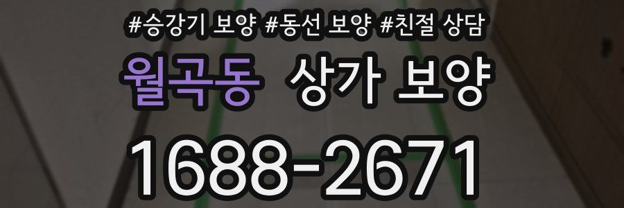 월곡동 상가 보양