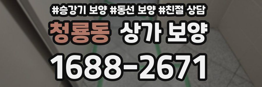 청룡동 상가 보양