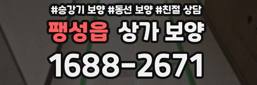 팽성읍 상가 보양