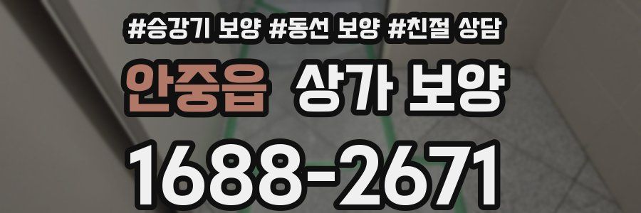 안중읍 상가 보양