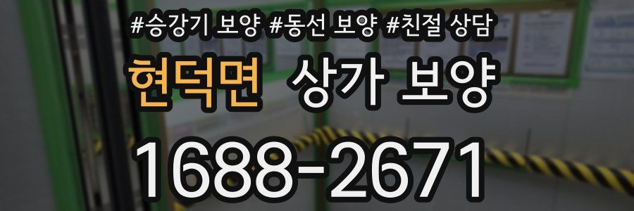 현덕면 상가 보양