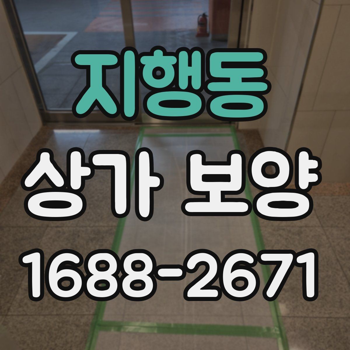 지행동 상가 보양 적용 범위와 제외 범위