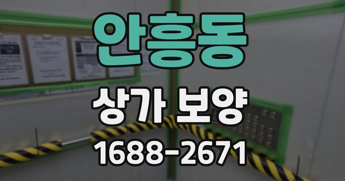 안흥동 상가 보양