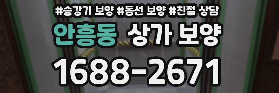 안흥동 상가 보양
