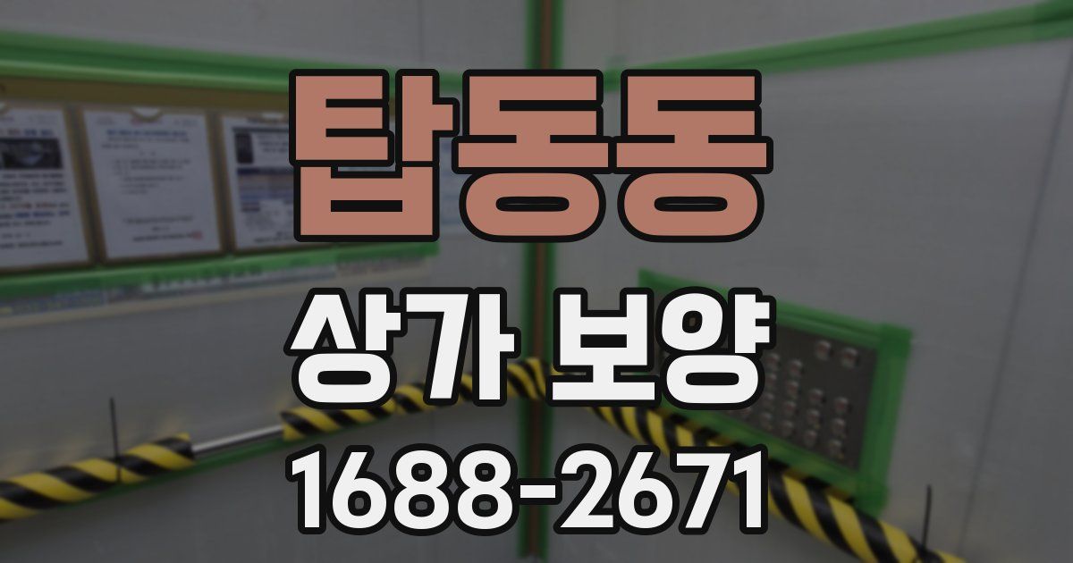 탑동동 상가 보양