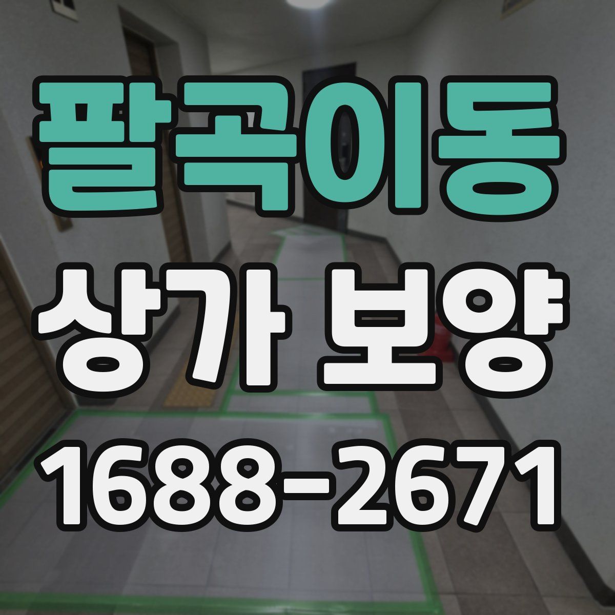 팔곡이동 상가 보양