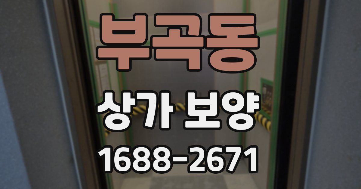 부곡동 상가 보양