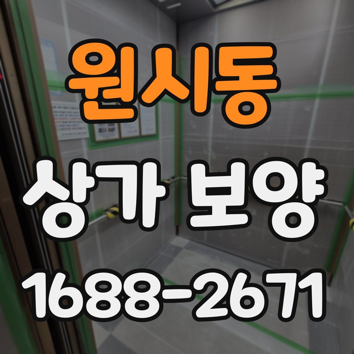 원시동 상가 보양