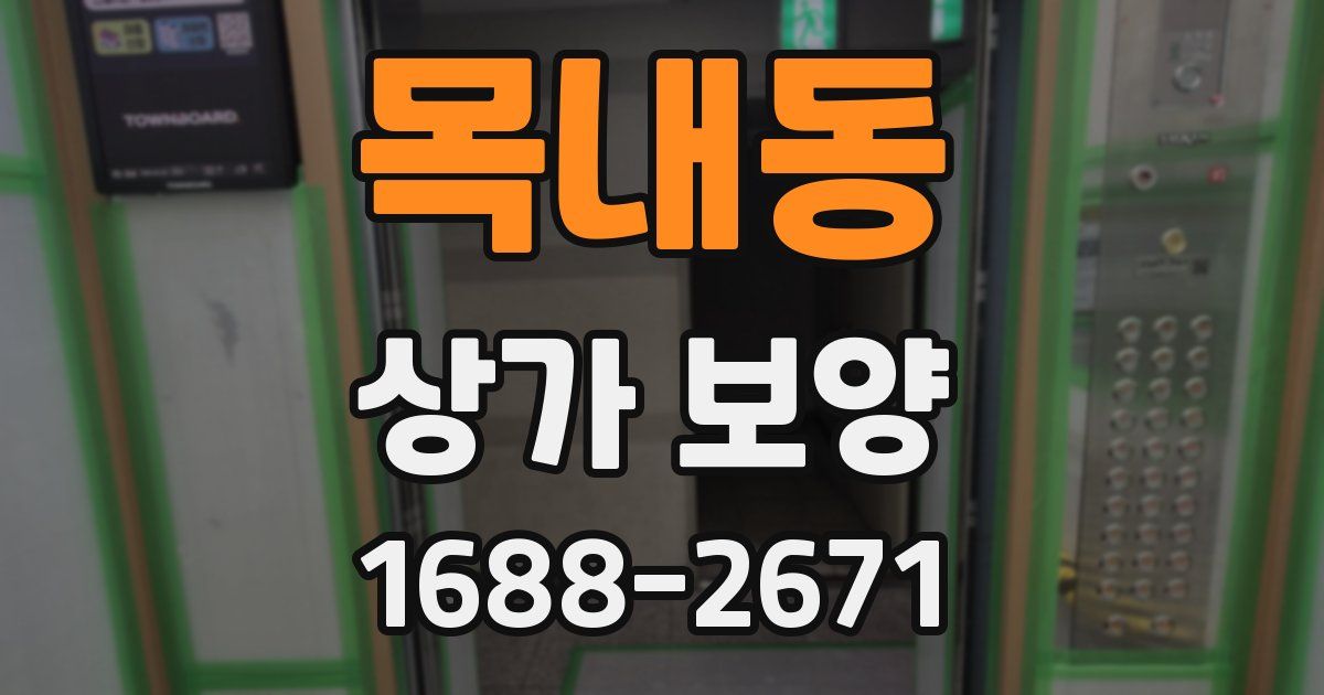 목내동 상가 보양