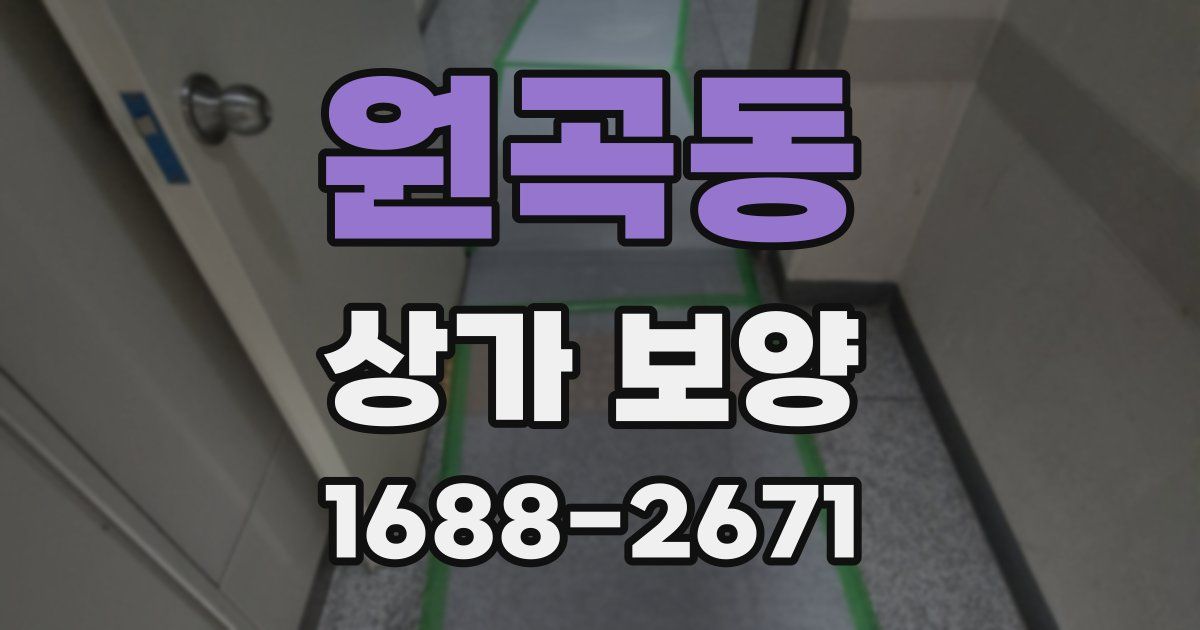 원곡동 상가 보양