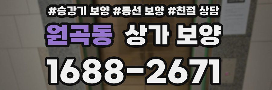원곡동 상가 보양