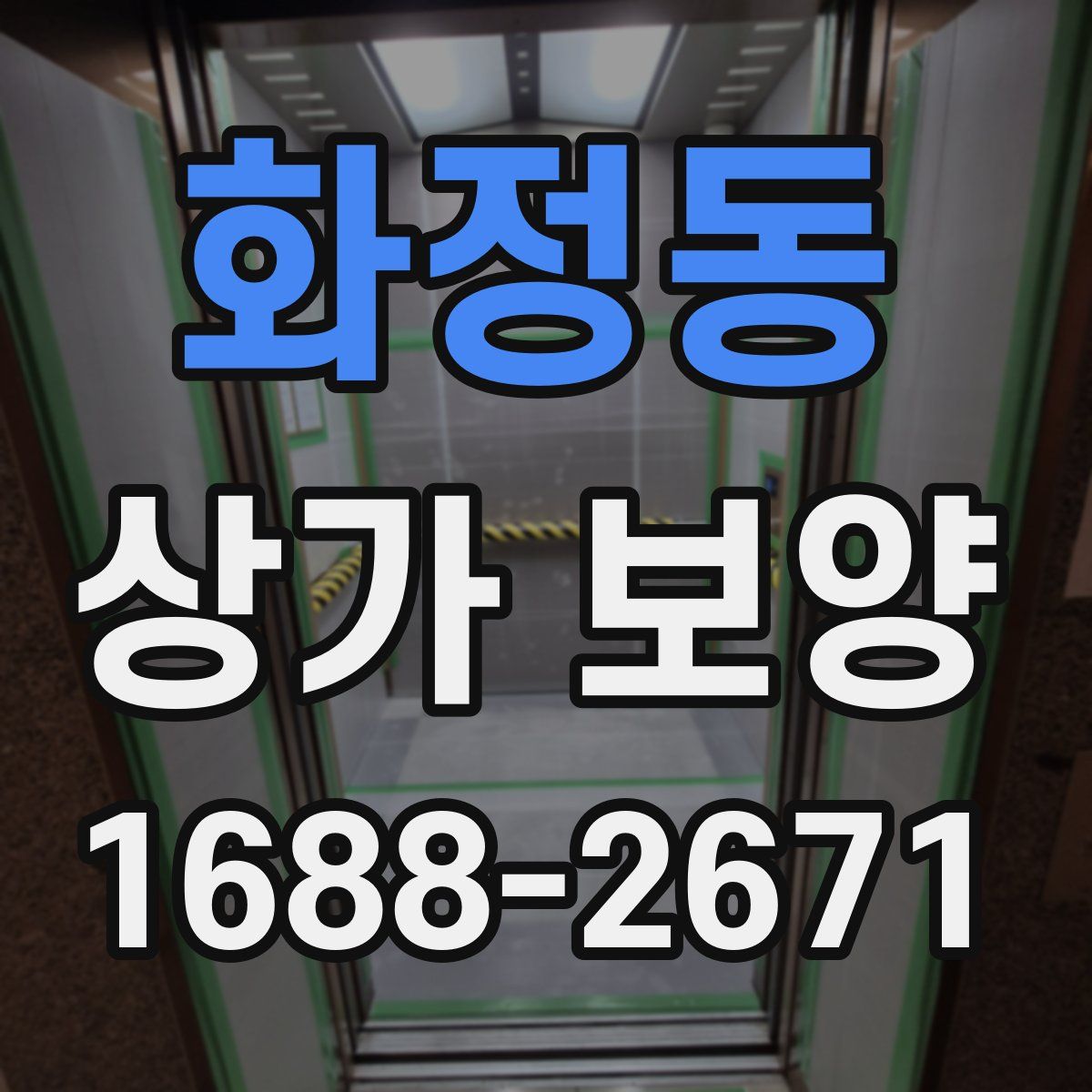 화정동 상가 보양