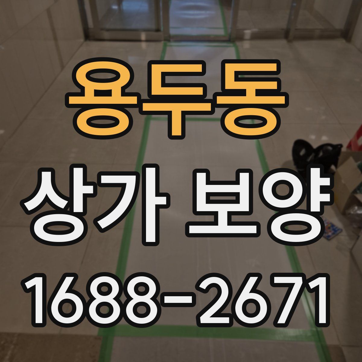용두동 상가 보양