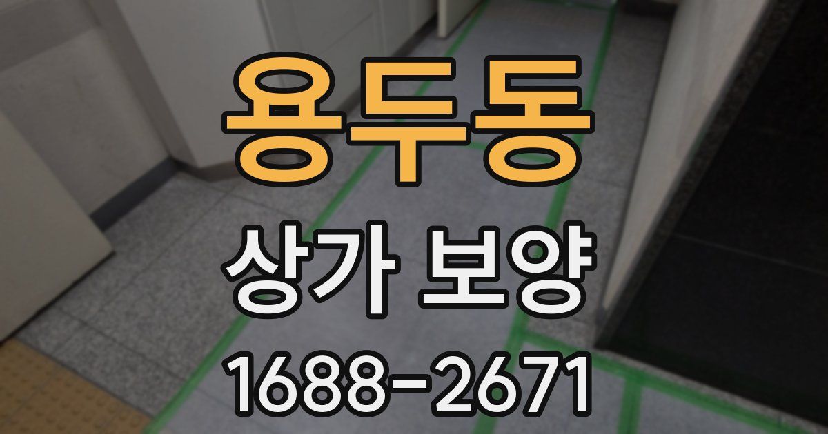 용두동 상가 보양