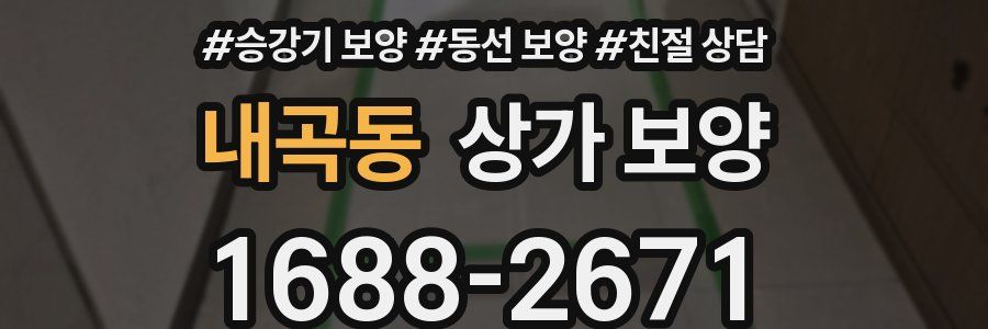 내곡동 상가 보양
