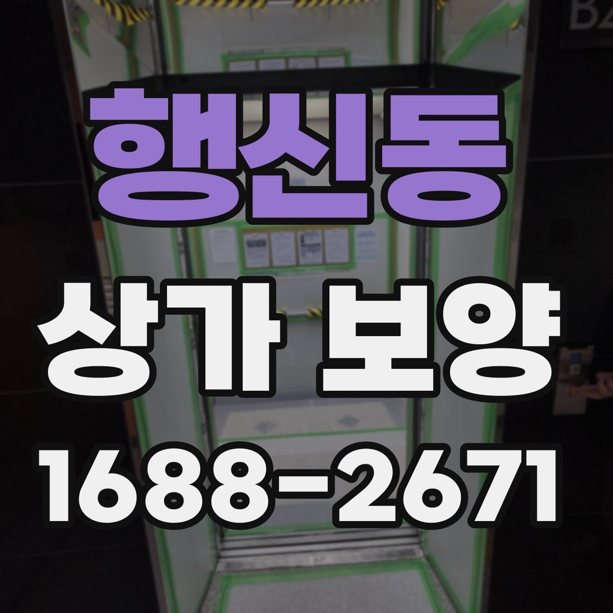 행신동 상가 보양