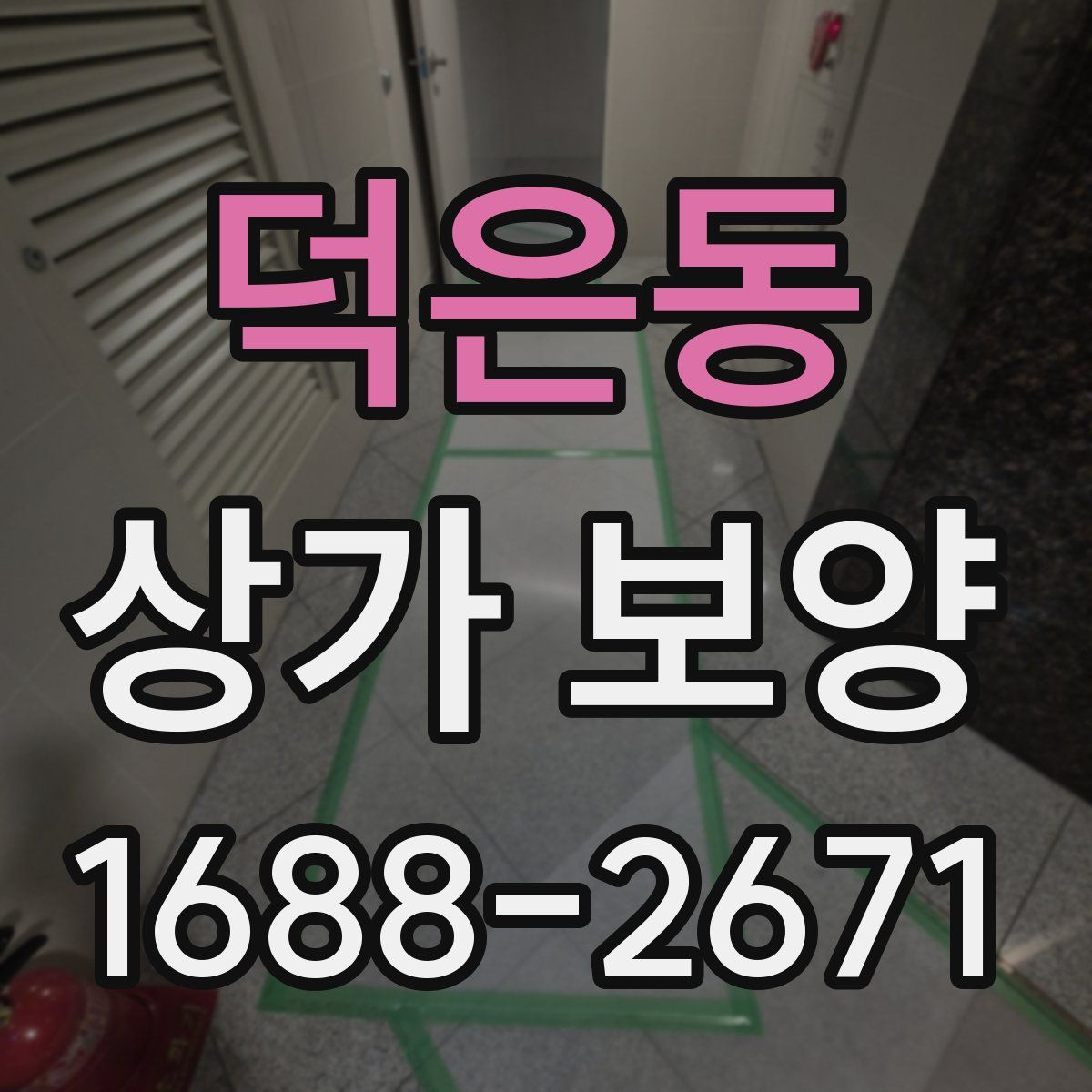 덕은동 상가 보양
