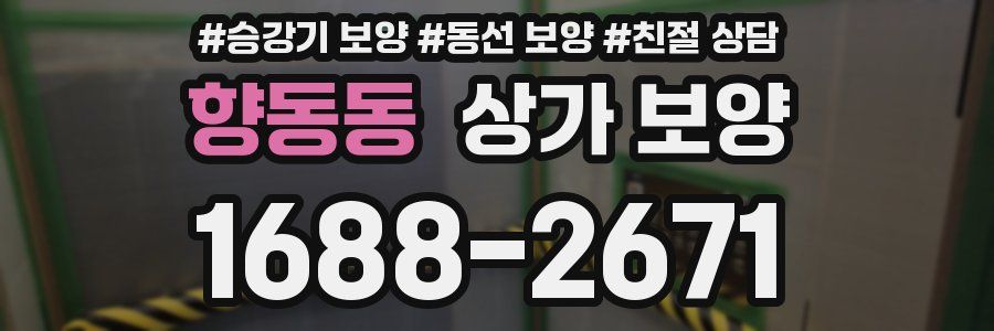 향동동 상가 보양