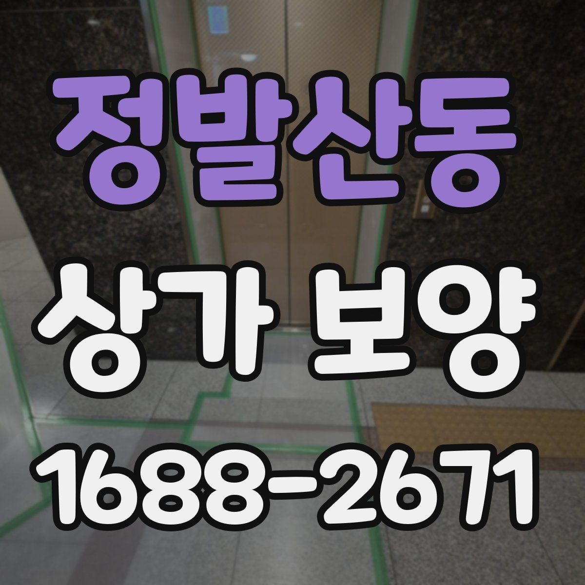 정발산동 상가 보양 범위별 비용과 작업 내용