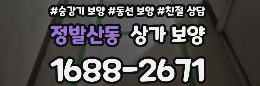 정발산동 상가 보양