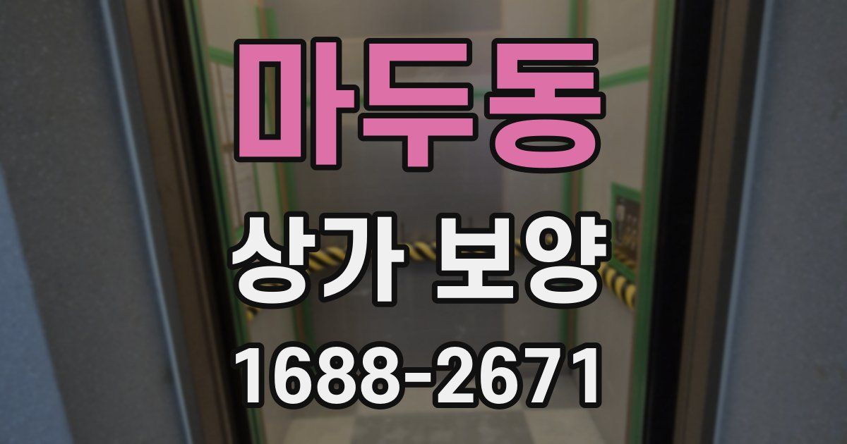 마두동 상가 보양