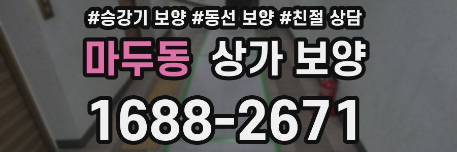 마두동 상가 보양