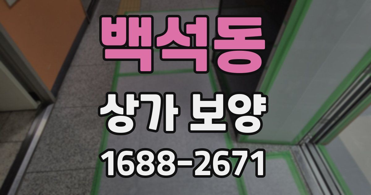 백석동 상가 보양