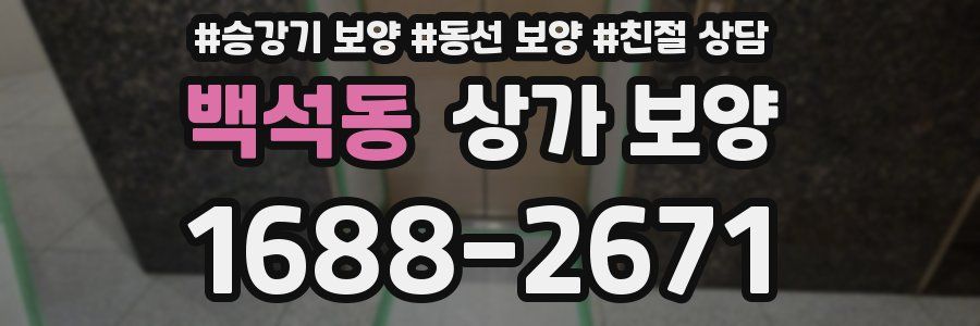 백석동 상가 보양
