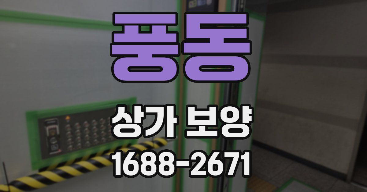 풍동 상가 보양