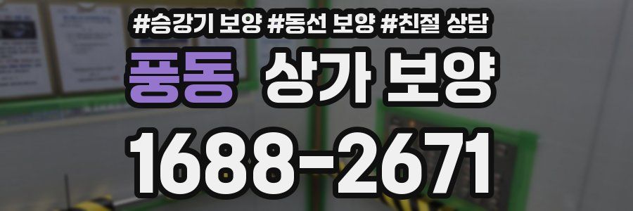 풍동 상가 보양
